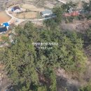보령시부동산중개사무소 이미지
