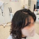 진주미용실 - 군산시 미원로 14 | 진주미용실