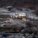 도무스(DOMUS) 이미지