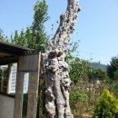 풀그리다 이미지