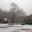 하얀세상 이미지