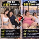 16평 빌라 vs 펜트하우스 이미지