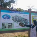 초록마을제주 이미지