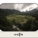 도동택시승강장 이미지