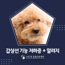 아이파크동물병원 이미지