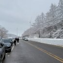 현우목장(2) 이미지