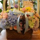 일산MBC꽃배달 - 축하선물로 배송된 예쁜꽃바구니 이미지