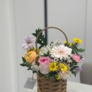 6811 | 상동 꽃집 블룸메르시플라워 | 생일 꽃바구니, 부모님 꽃바구니선물 후기