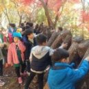 가학산자연휴양림 유아숲체험원 이미지