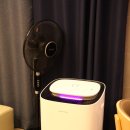 까르마레스토랑 | [제주수영장펜션] 조용하고 프라이빗한 제주풀빌라펜션 까르마 후기