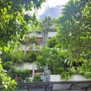 한중약국 | 다낭 여행(2)