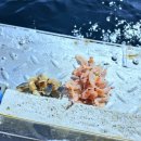 배들약국 이미지