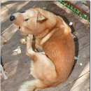 토요일오후 이미지