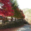 해인초등학교 이미지