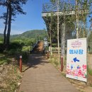 2026 Colorful Garden 경기 가평 9경 자라섬 꽃 페스타 #1 이미지