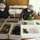 상환농장 이미지