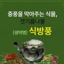 명의약초 이미지