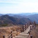 재약산 티스토리