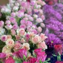 조마루로291번길·부흥로307번길 이미지