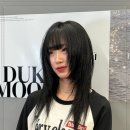 덕무드헤어 이미지