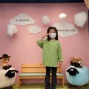 성균관대국가대표 태권도장 이미지