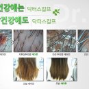 닥터스칼프 신촌점