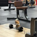 Kihyun-ah, I found your workout buddy! 🐹💪😂 이미지