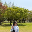 🧳경주 여행 1박2일 코스 가볼만한곳 추천: 대릉원/천마총/황리단길/첨성대/동궁과월지/경주월드 등🧳