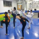 성산 코리아 태권도 이미지