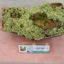 원남면 주민자치센터 이미지