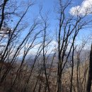 선의농원 이미지