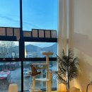 나디아영어 이미지