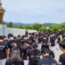 드림코리아 태권도 이미지