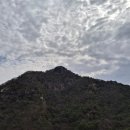 옥순봉 출렁다리 관광안내소 | 옥순봉 출렁다리를 걷는다 (충북 제천 청풍호)