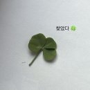 한솥도시락 경주 금장점 | 11월 🤎