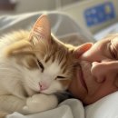 치매 치료 실마리, ‘고양이 치매’에서 찾는다… “알츠하이머병과 유사 기전” 이미지