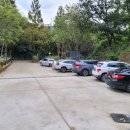 성왕로 옥천-15 이미지