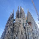 파밀리아 | 스페인 바르셀로나 까사바트요, 까사밀라, 사그라다 파밀리아 성당 후기