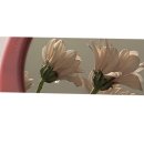 스튜디오아장아장 이미지