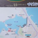 속초다육