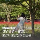 불갑사관광지 | 전남 영광 가볼만한곳 관광지 불갑사 불갑산도립공원