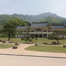 금강비철 이미지