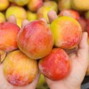 행정1길 이미지