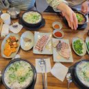 배양순대