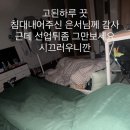 효진모드 이미지