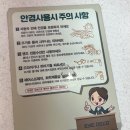 [세종 안경] 아이데코안경 세종시청점 | 안경 저렴한 곳에서 안경맞춘 후기