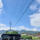 (주)샤우트