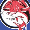 고고씽호