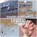 네일 510 이미지
