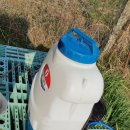 중앙종묘사 이미지